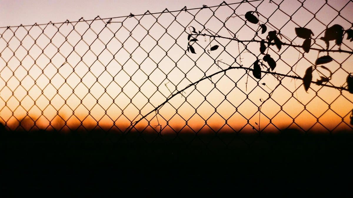 Silhouette of a chain link fence with foliage against a vibrant sunset sky, creating a dramatic scene.
