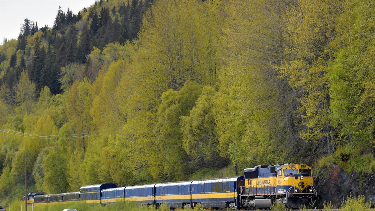 Capturing the iconic Alaska Railroad train traveling through lush forests near Anchorage.