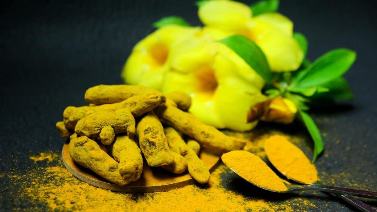 Close-up of turmeric roots and powder with green leaves and yellow flowers on black background.