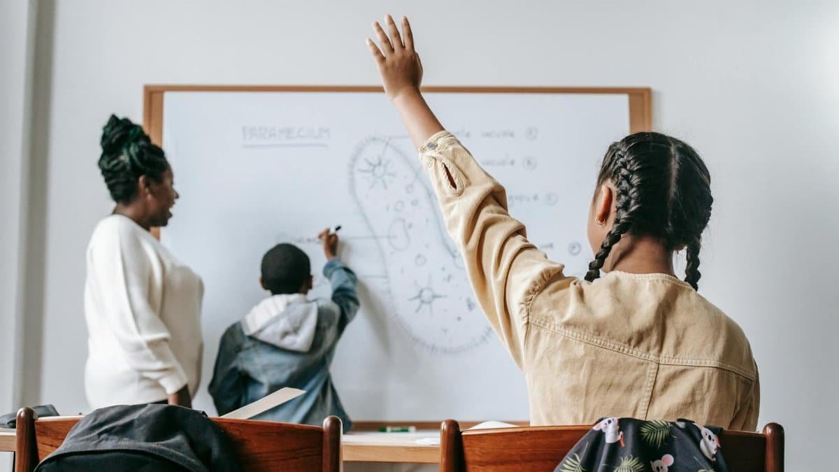 Students attentively participate in a science lesson with a teacher at the whiteboard.