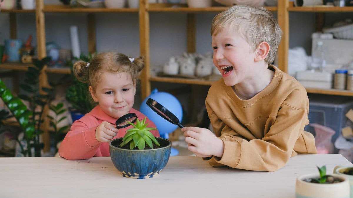 Two children using magnifying glasses to explore a potted plant indoors, showcasing curiosity and learning.
