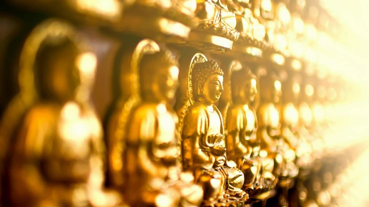 Row of golden Buddha statues in soft focus, symbolizing worship and spirituality in a sacred setting.