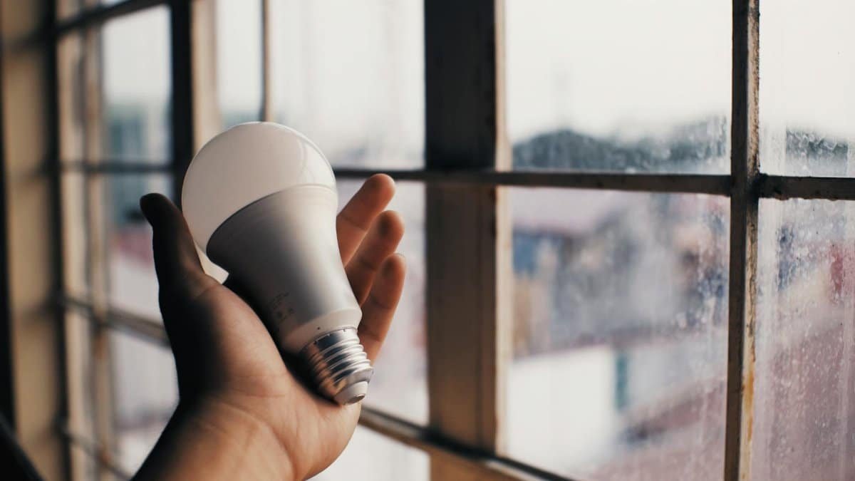 A hand holds a LED bulb near a window, symbolizing energy efficiency.