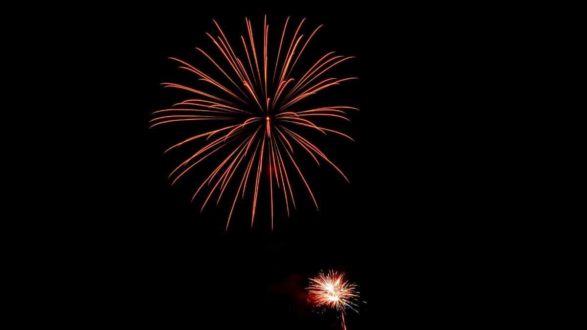 Bright fireworks light up the dark night sky in a mesmerizing display.