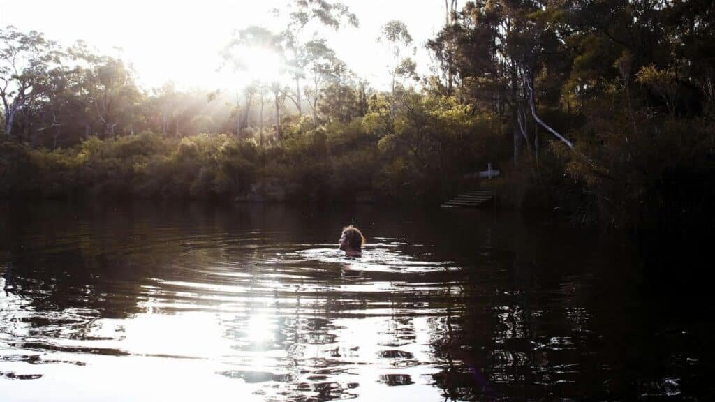 Person swimming in a tranquil forest lake during daylight, surrounded by nature.