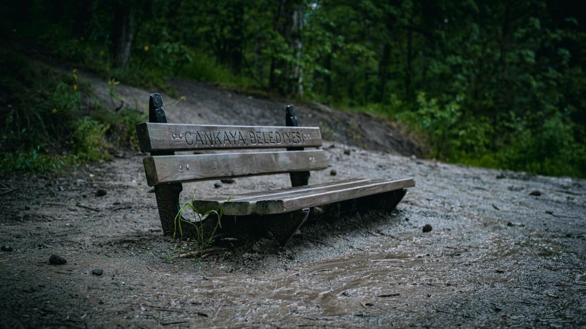 A solitary bench in a misty forest, evoking feelings of loneliness and tranquility.