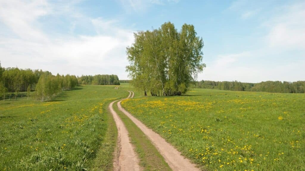 A serene rural scene with a dirt path, lush greenery, and a clear blue sky.