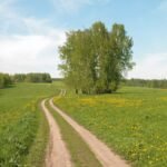 A serene rural scene with a dirt path, lush greenery, and a clear blue sky.