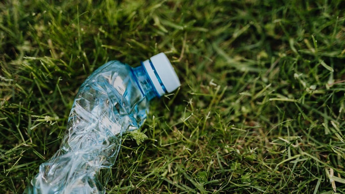 From above of blue crumpled plastic bottle thrown on green park lawn on sunny summer day