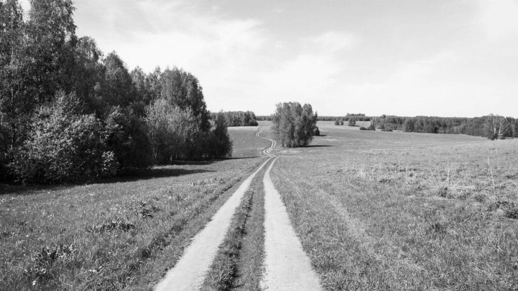 A tranquil rural path leading through a countryside landscape, captured in black and white.