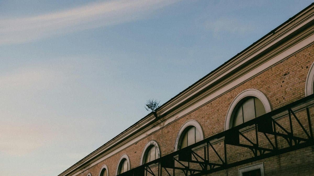 Brick building facade with arched windows and a tree against a clear sky, highlighting nature's resilience.