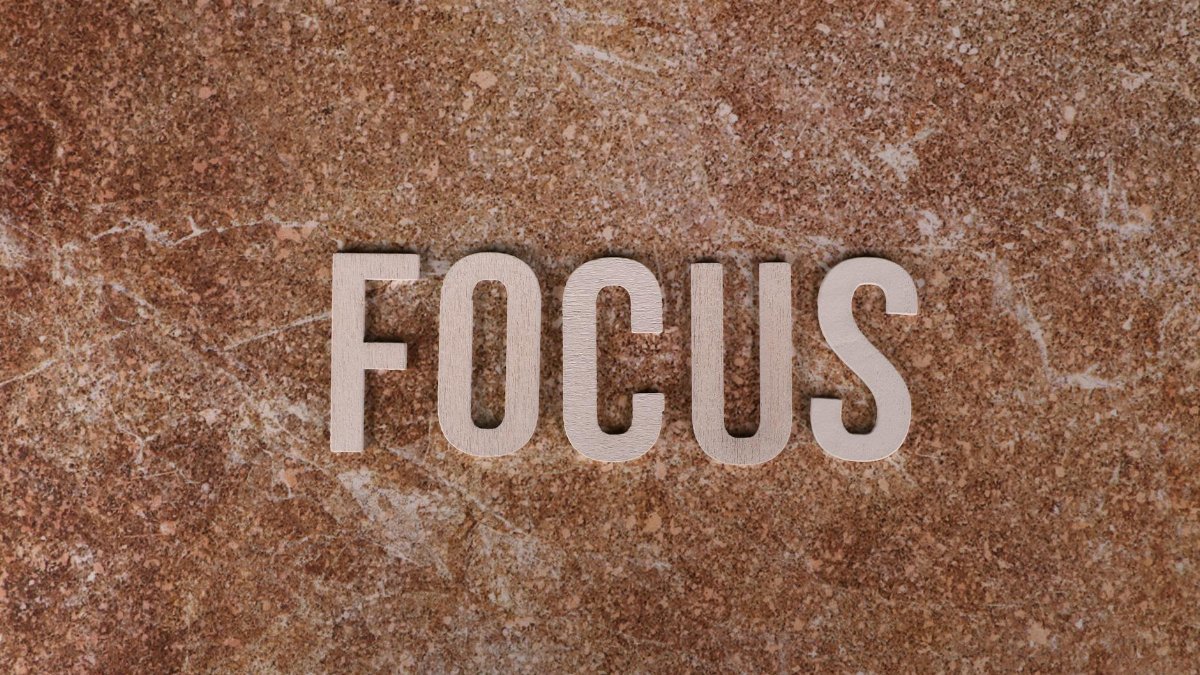 11. Fostering Synaptic Pruning for Clarity