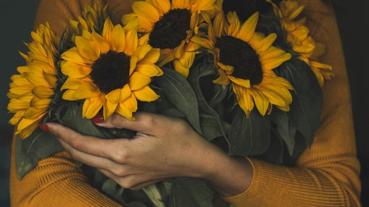 Close-up of a woman cradling vibrant sunflowers against a dark backdrop.