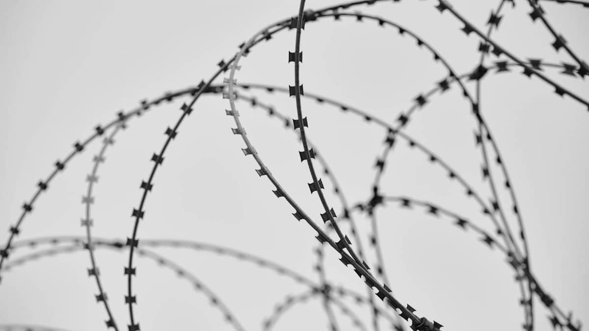 Intricate loops of barbed wire in monochrome, emphasizing texture and structure.