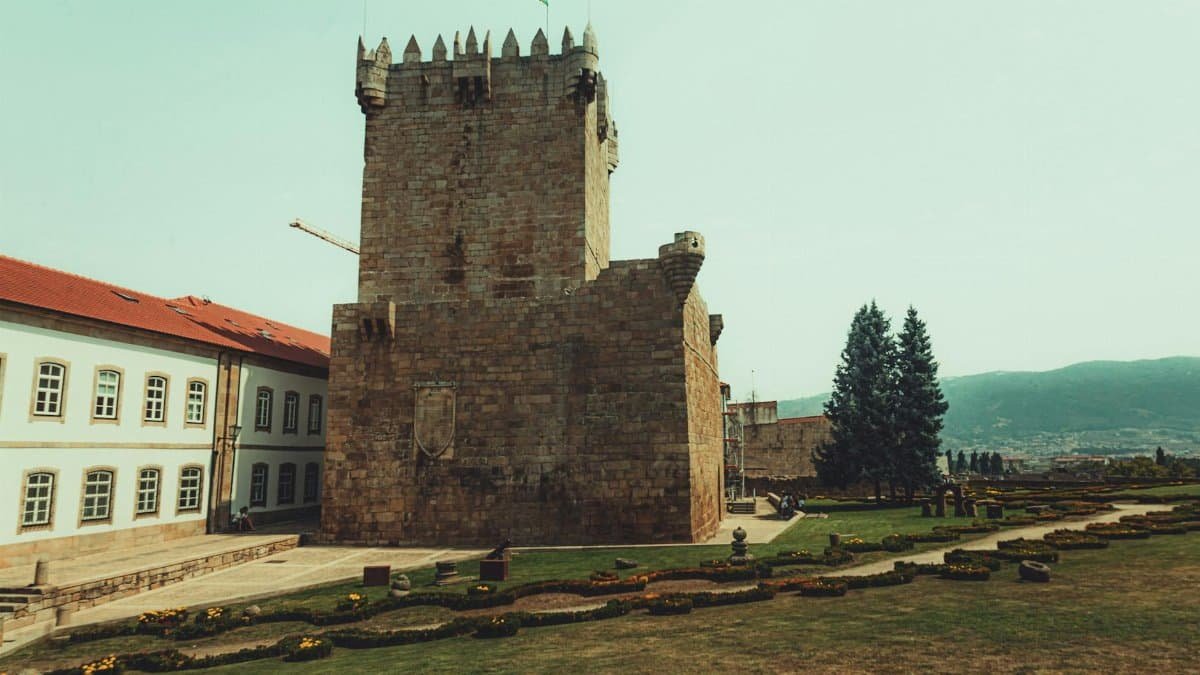 13. Defensive Reactions