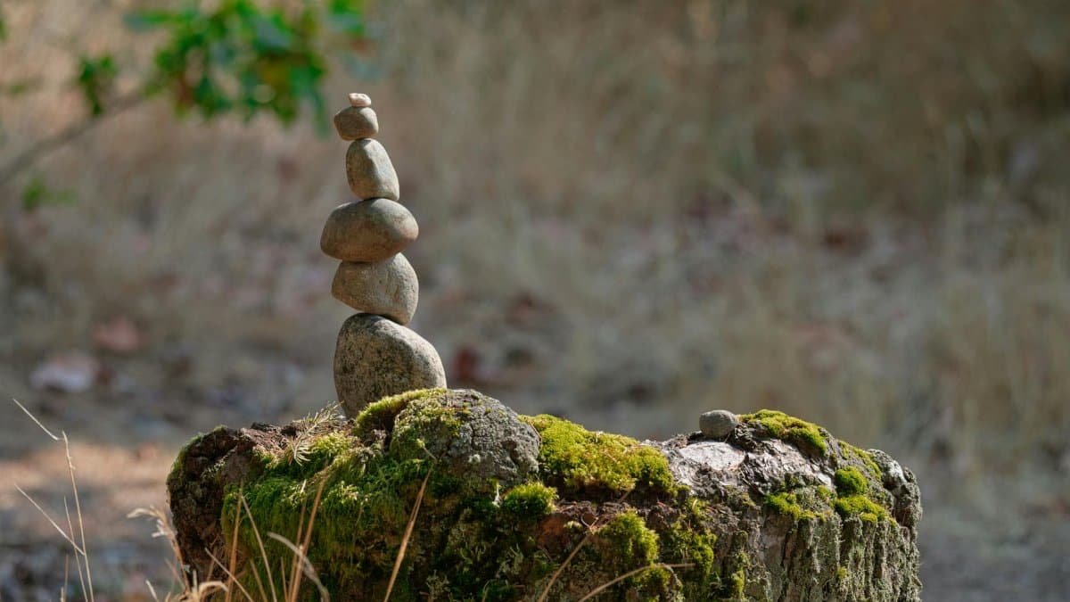 Balance