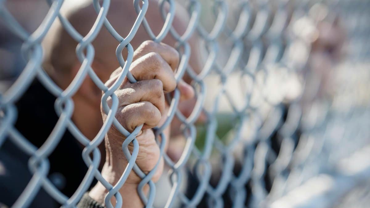 Hands gripping a chain-link fence outdoors, symbolizing confinement or yearning for freedom.