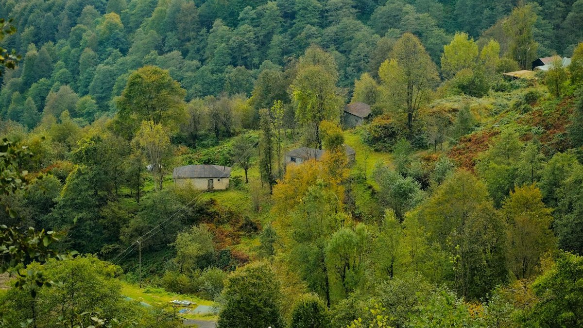 Beautiful autumn landscape in Trabzon, Türkiye with lush trees and traditional houses.