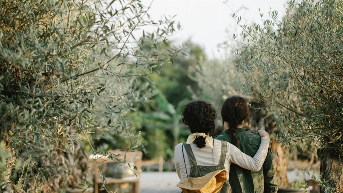 Back view of anonymous female gardeners hugging while standing in orangery with various green plants on blurred background during work