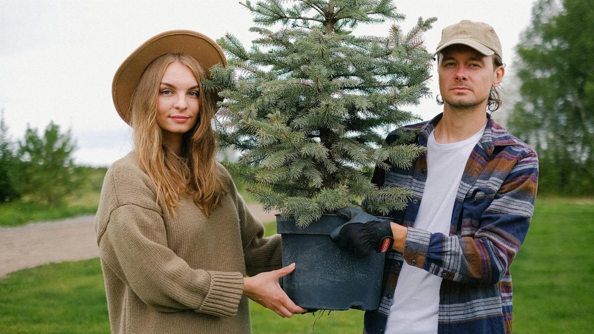 Young couple having work on farm together while carrying pot of fir tree grown in field
