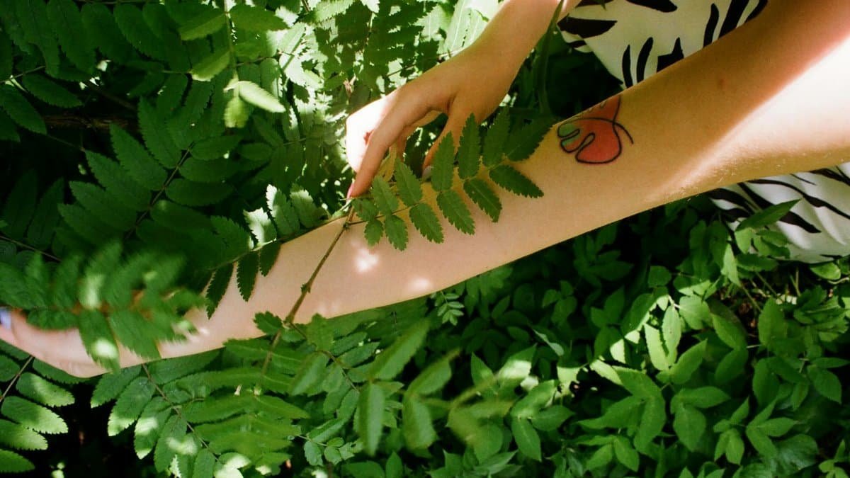 A tattooed arm gently interacting with fern leaves in bright daylight, showcasing natural growth and personal expression.