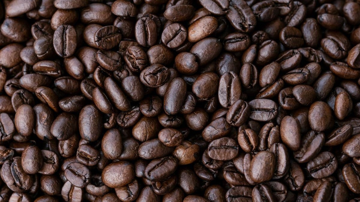 A detailed close-up of aromatic roasted coffee beans for a rich caffeine experience.