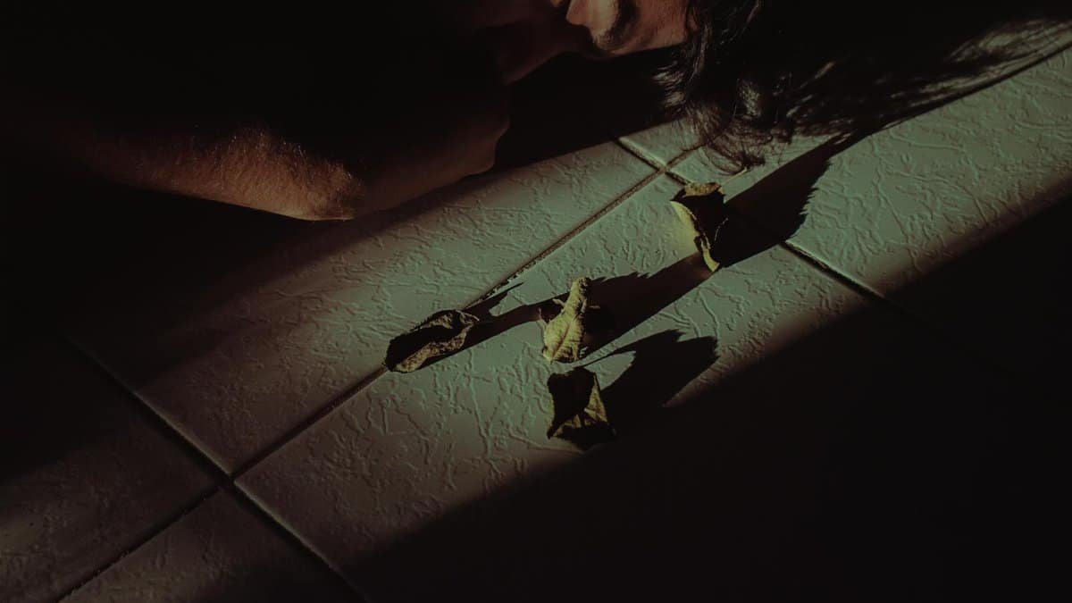 A dramatic shot of a person lying on the floor surrounded by dried leaves, emphasizing shadows and mood.