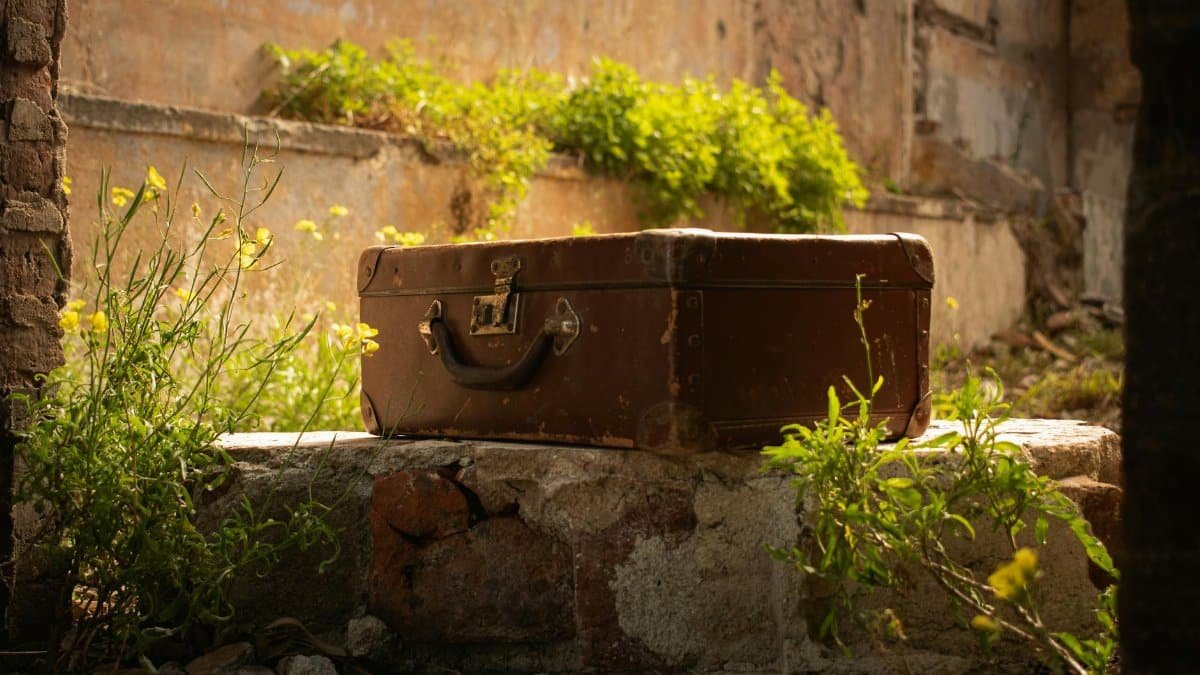 A vintage suitcase sits in an abandoned, sunlit outdoor setting surrounded by plants.