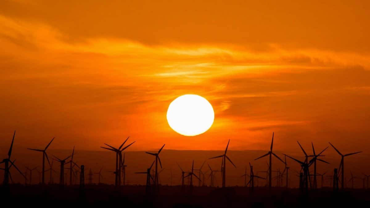 Wind turbines silhouetted against a stunning sunset, showcasing renewable energy in nature.