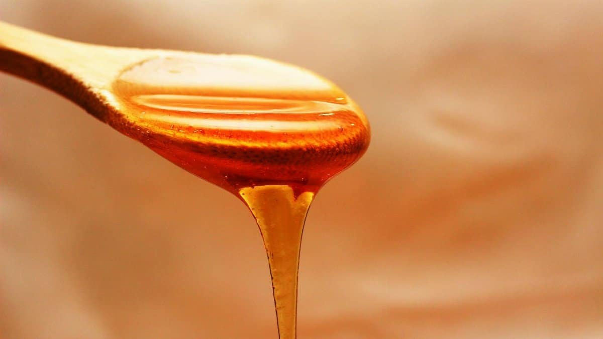 Close-up of honey dripping from a wooden spoon, showcasing its rich texture and color.