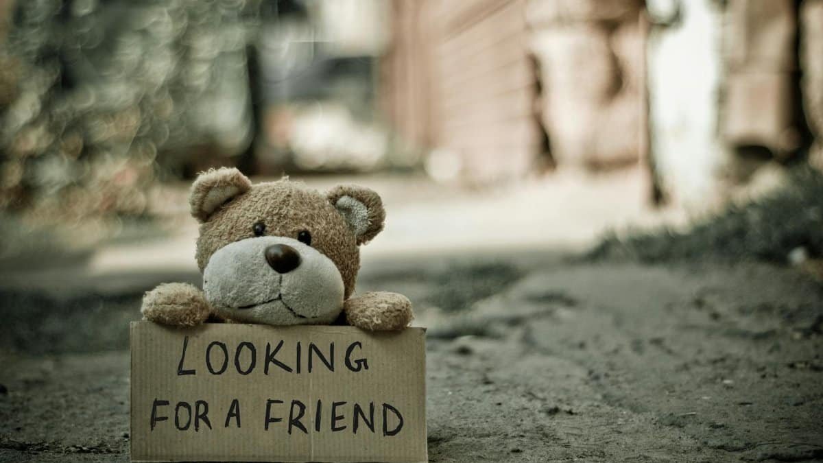 A plush teddy bear holding a sign 'Looking for a Friend', evoking themes of loneliness and companionship.