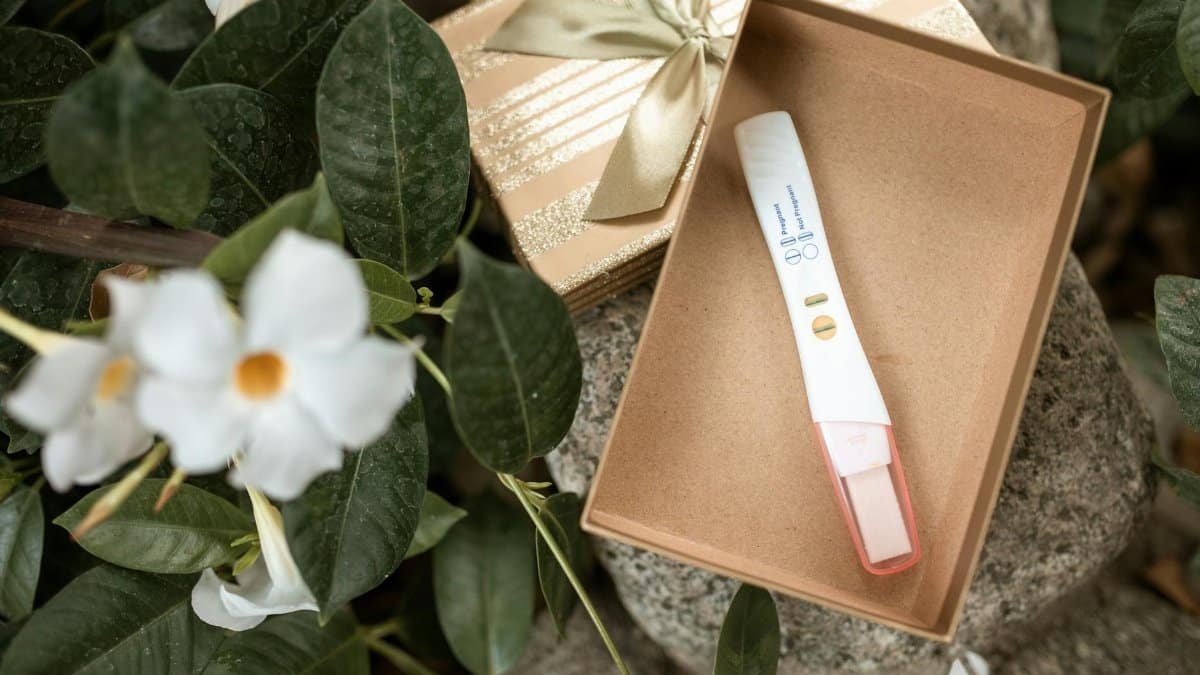 Pregnancy test placed in an open gift box surrounded by green leaves and white flowers.