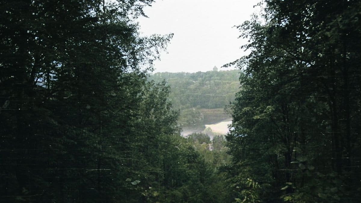 Lush forest landscape with a river view in Sigulda, Latvia, perfect for nature enthusiasts.