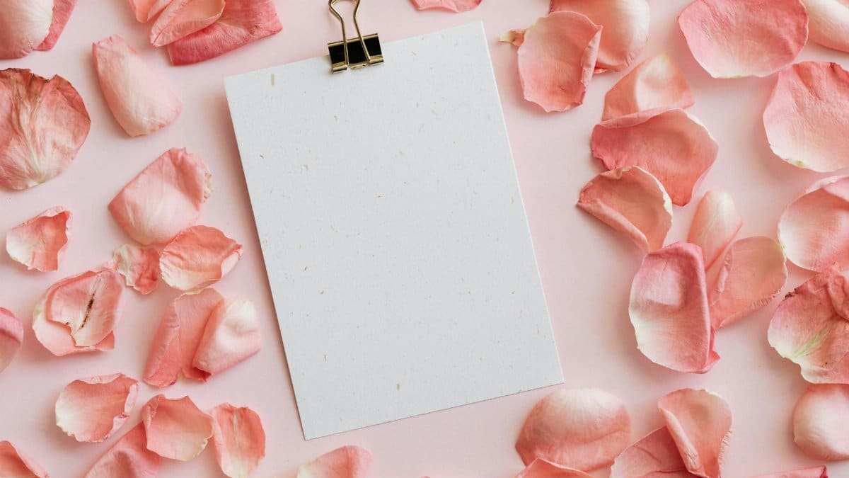 From above of blank gift card with office clip placed with heap of rose petals on pink background