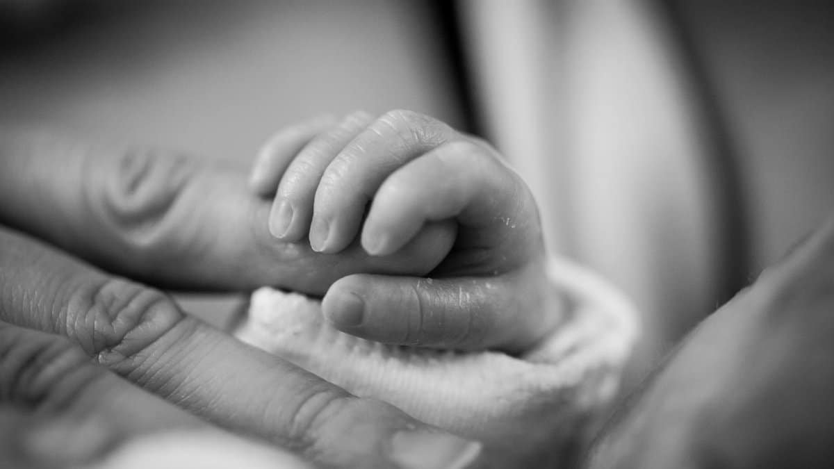 Close-up of a newborn's hand gently holding an adult's finger, symbolizing love and connection.