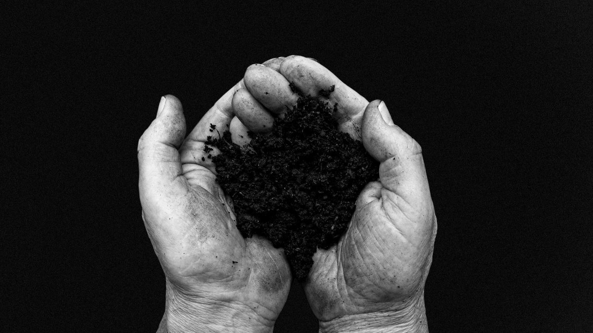 A black and white image depicting hands carefully holding fresh soil, symbolizing growth and earth care.
