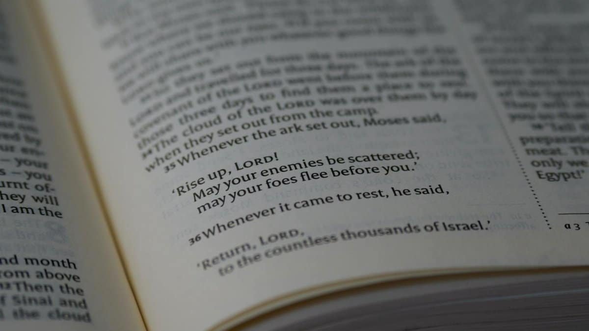 Detailed close-up of an open Bible showing highlighted scripture text.