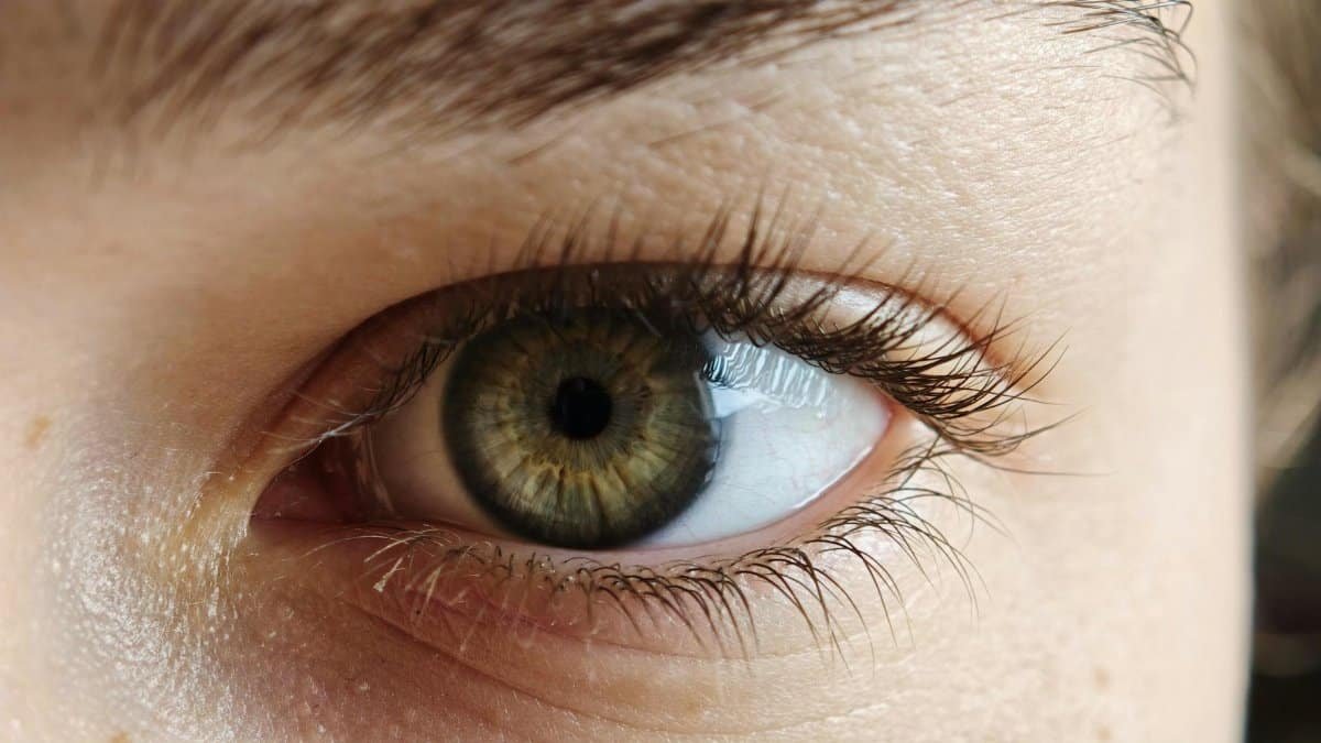 green macro picture of an eye