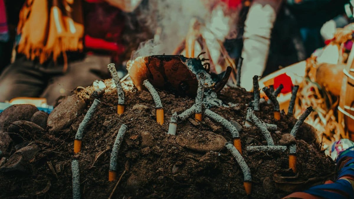 Close-up image of cigarette butts in dirt, symbolizing pollution and addiction.
