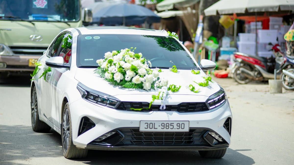 Free stock photo of family photo, trends, wedding photo