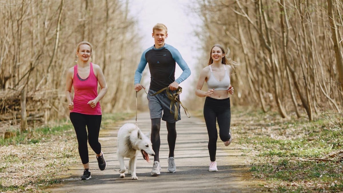 Three adults jogging with a dog on a forest path on a bright spring day, promoting healthy living.