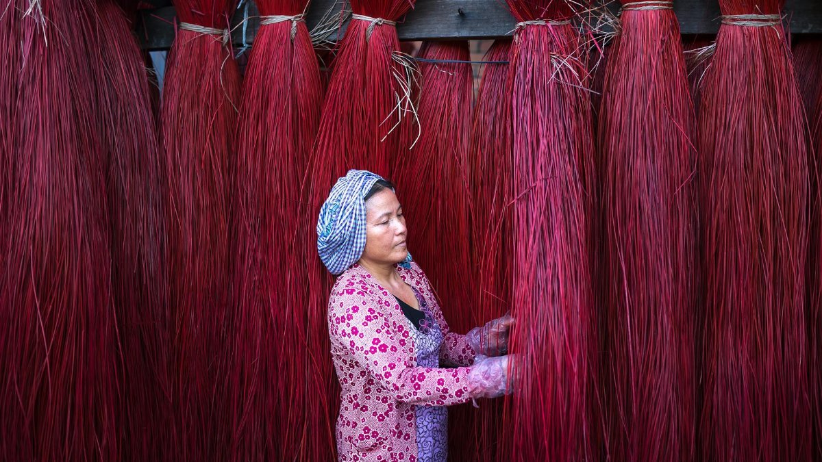 Woman in traditional attire inspecting vibrant red dried straw bundles, showcasing craftsmanship.
