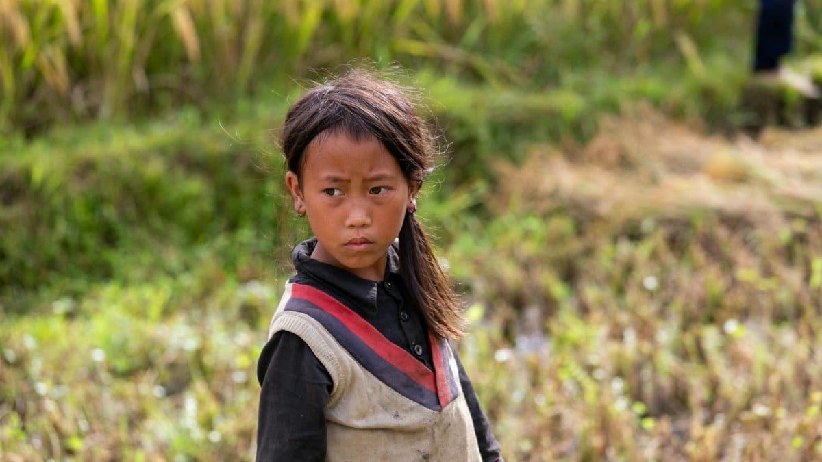 A young girl stands in lush rice fields of Lào Cai, Vietnam, capturing a moment of cultural beauty.