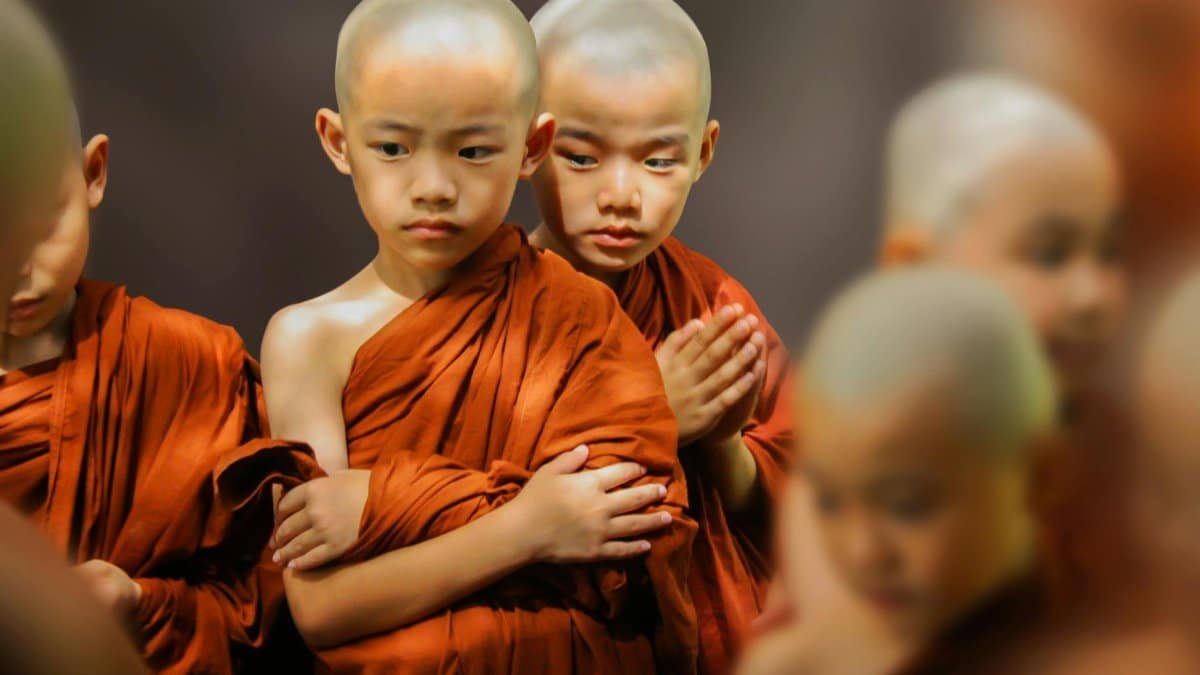 A group of young Buddhist novices in orange robes showing concentration and focus.