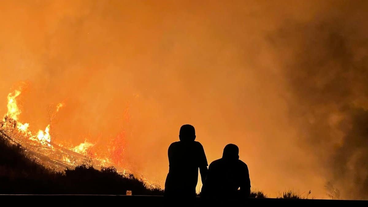 Two silhouettes observe a massive forest fire with intense flames and smoke filling the night sky.