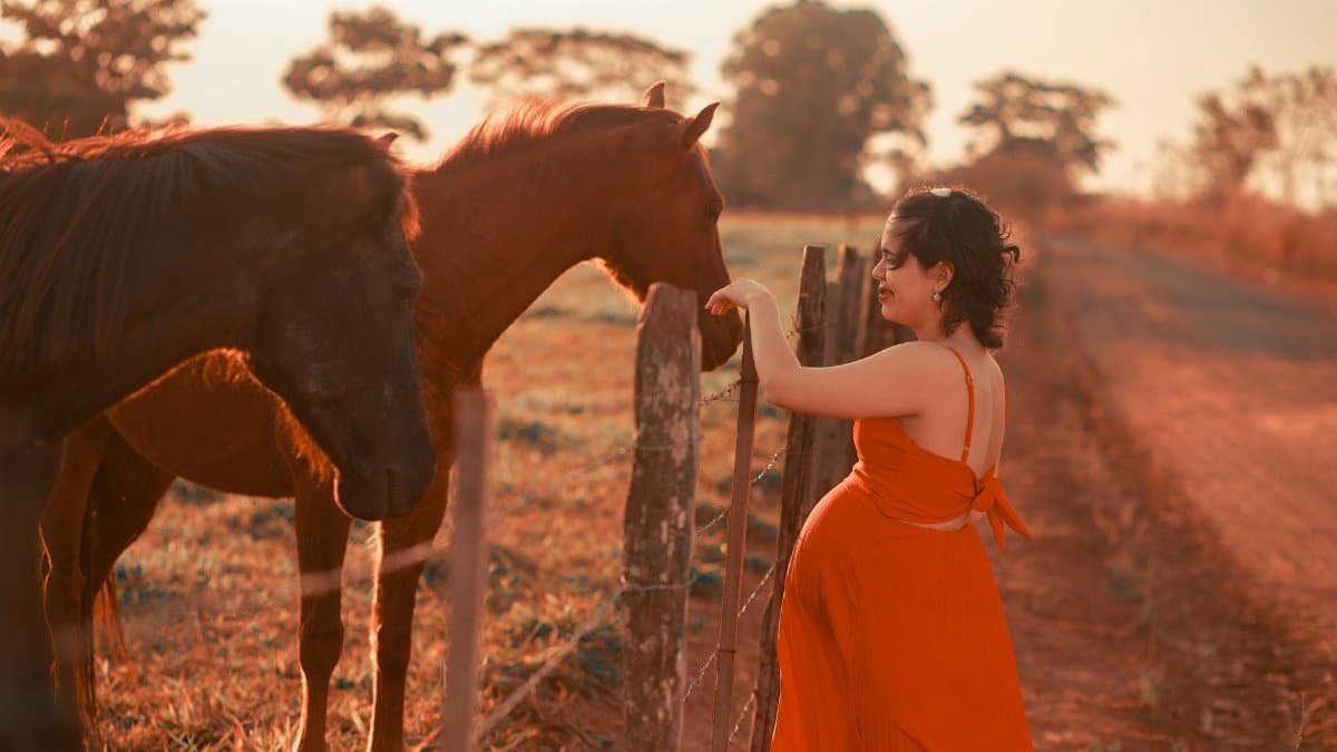 Emotional Harmony Gains