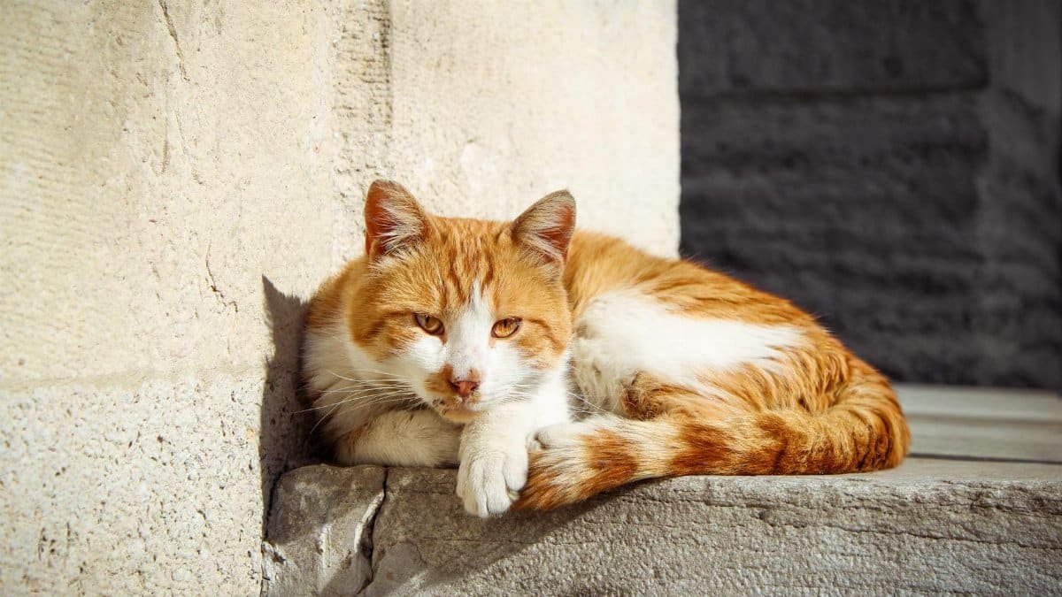 Emphasizing Rest as a Foundation