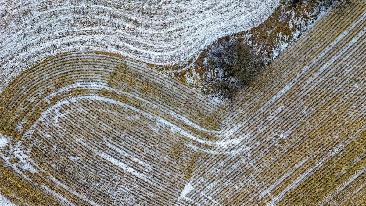 Aerial view showcasing intricate snow-covered farmland patterns near Austin, Minnesota.