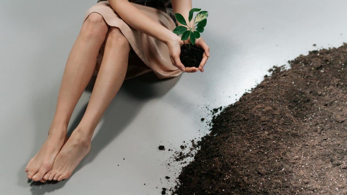 A woman sits with a seedling in her hands, symbolizing growth and environmental care.