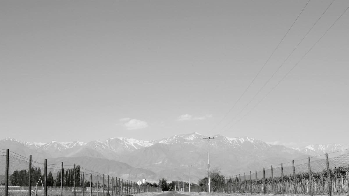 Vineyards in Maipo Valley, Chile